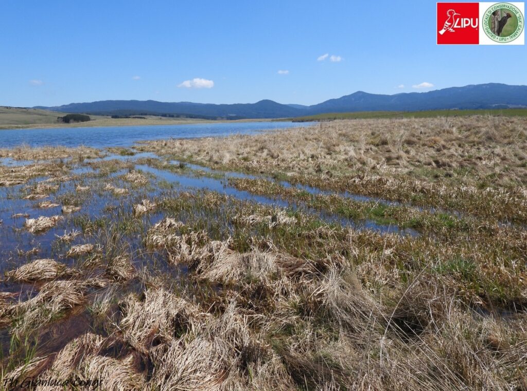 ZPS - IBA 148 - Sila Grande