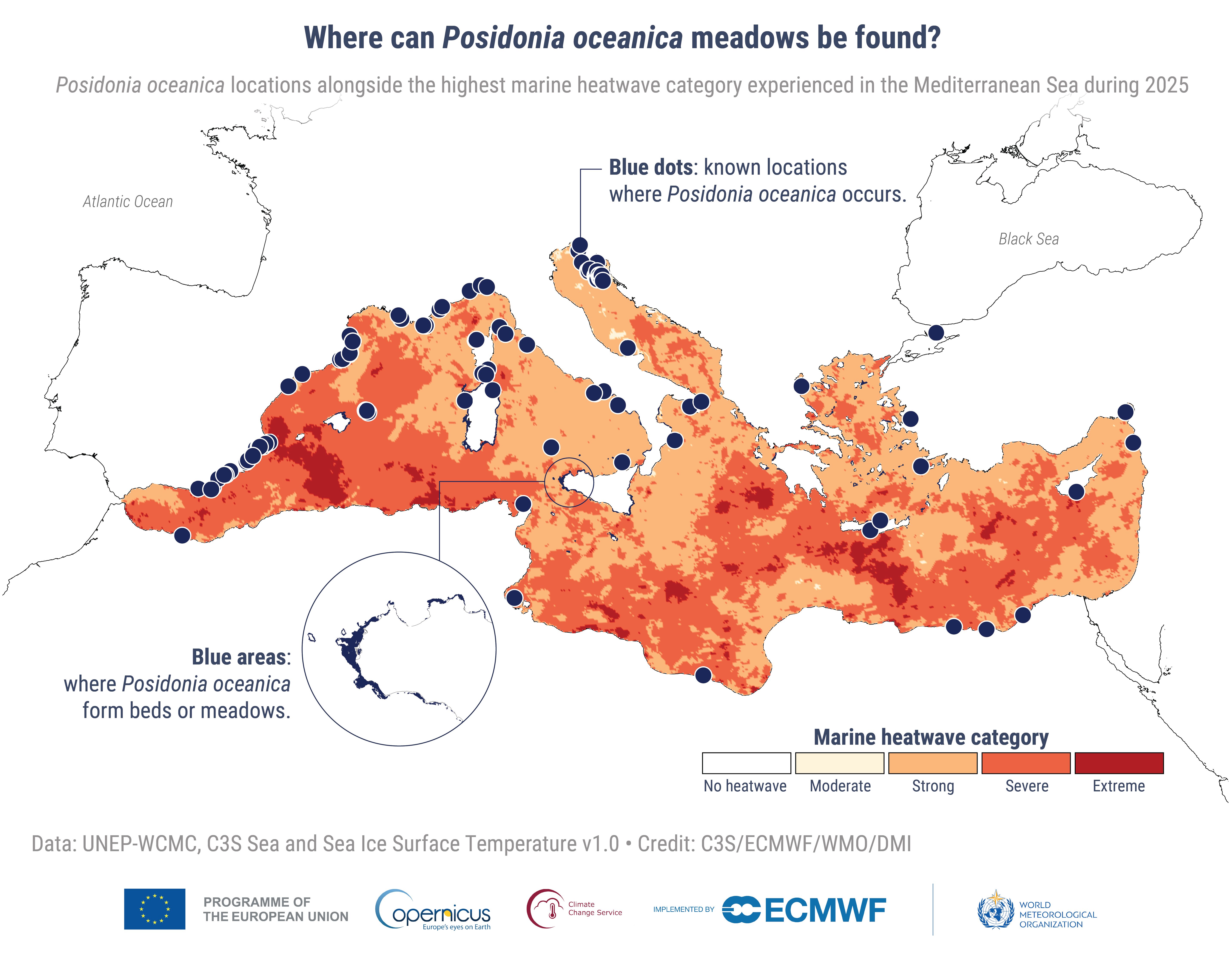 cambiamento climatico rapporto copernicus 2025