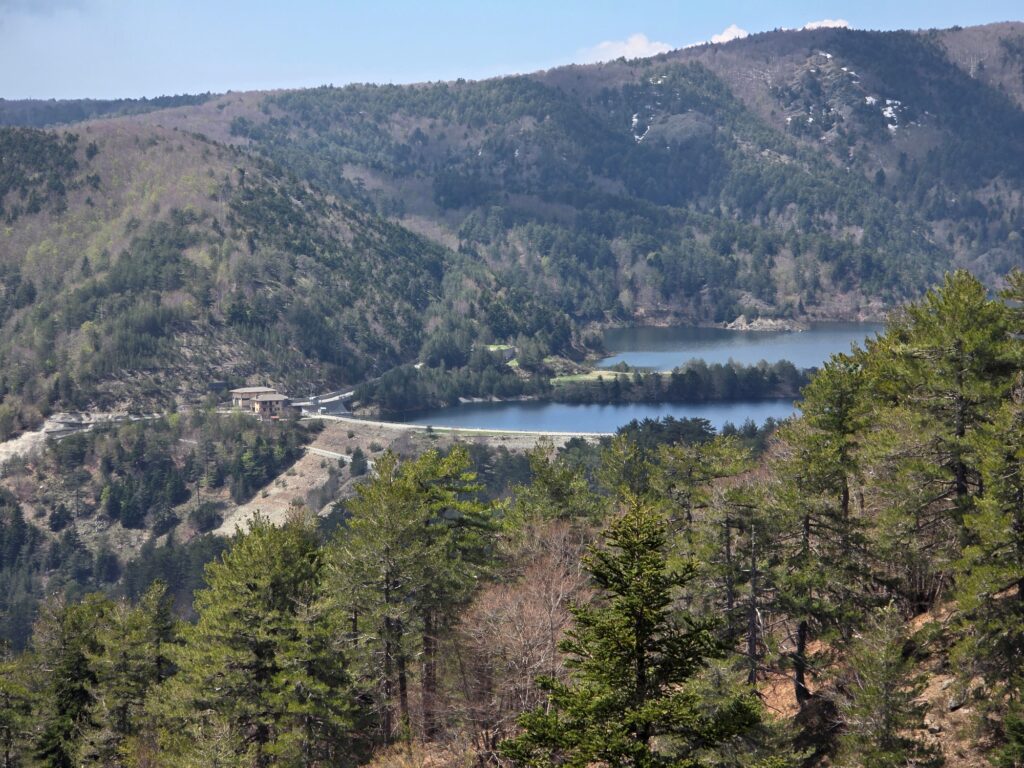 diga del menta 18 aprile 2026