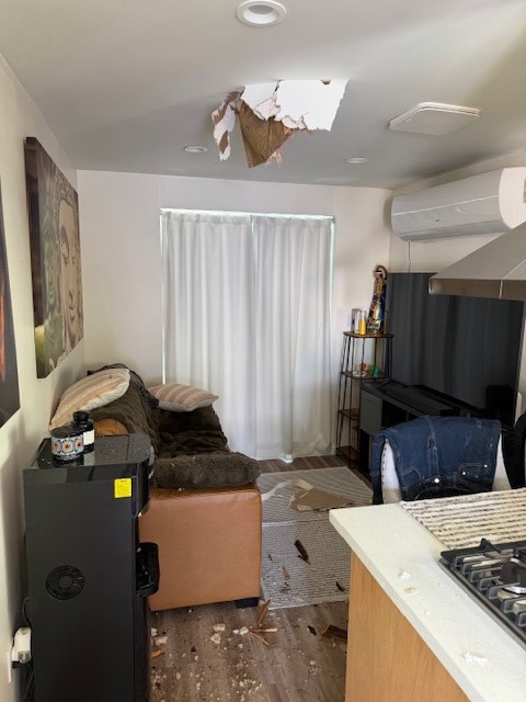 ghiaccio tetto california