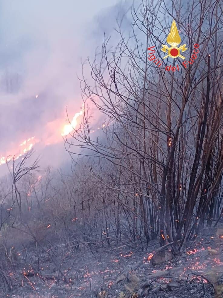 incendio catanzarese