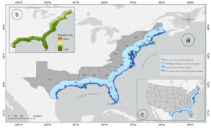 inondazioni città costiere usa