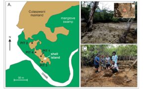 isola resti molluschi fiji