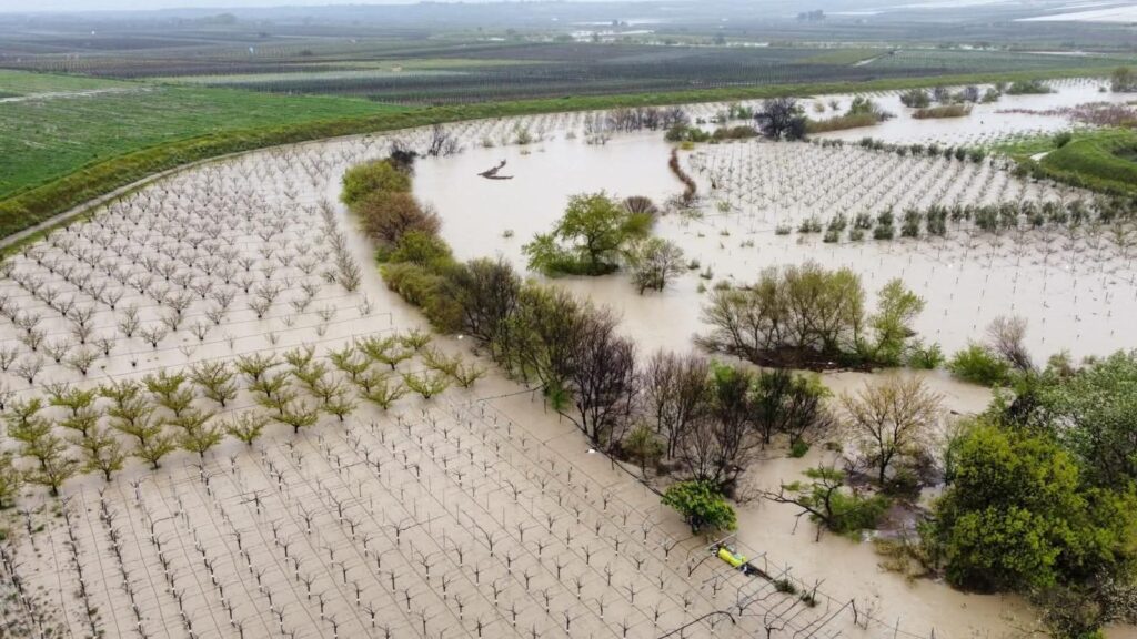 maltempo agricoltura