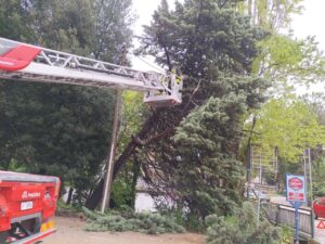 maltempo albero vigili fuoco