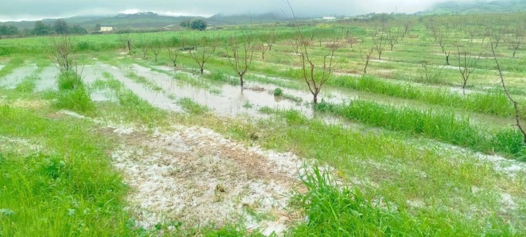 maltempo basilicata
