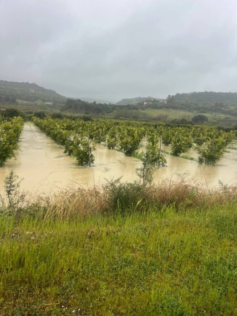 maltempo basilicata