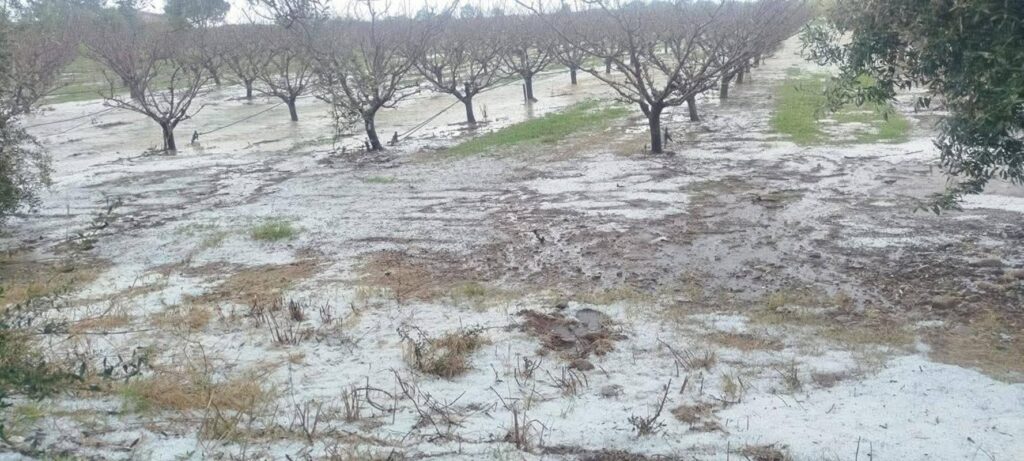 maltempo grandine basilicata