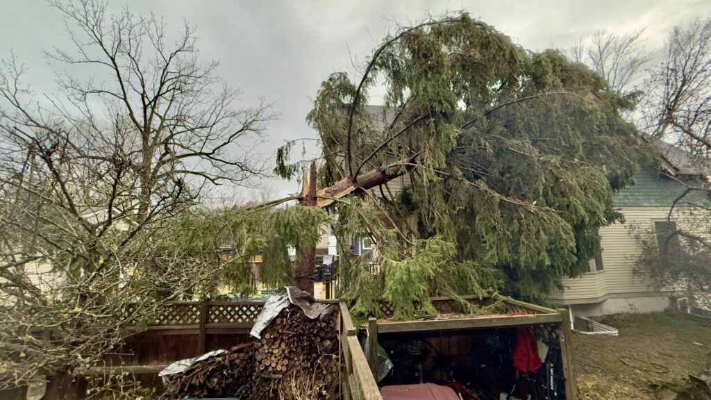 maltempo michigan USA