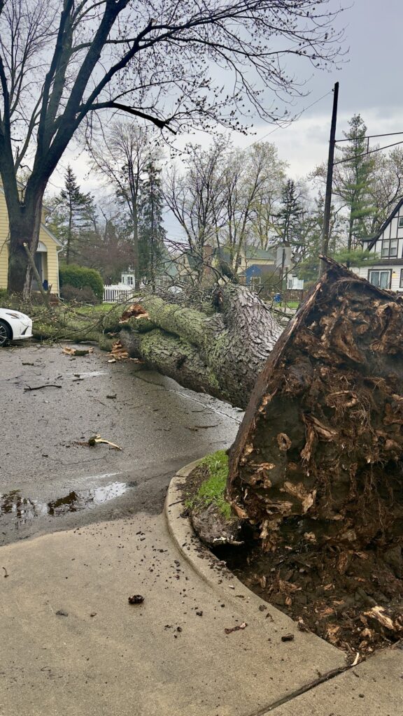 maltempo michigan USA