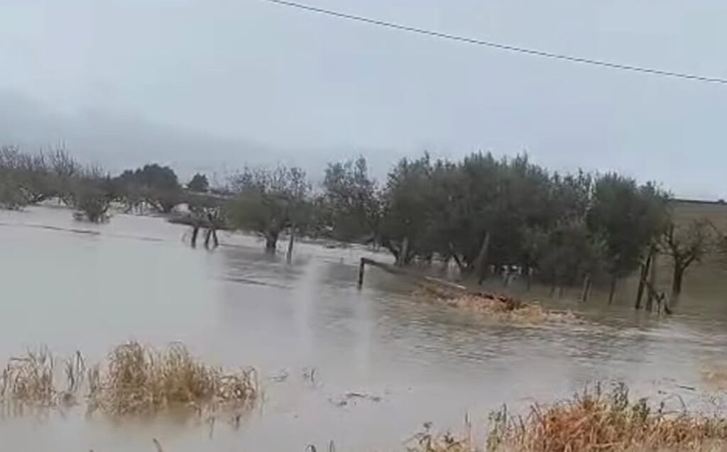 maltempo puglia fiume cervaro