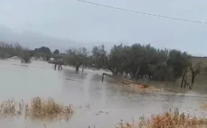 maltempo puglia fiume cervaro