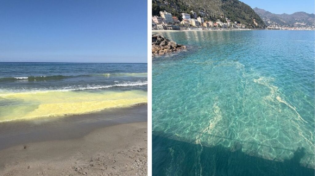 mare giallo liguria arpal