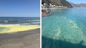 mare giallo liguria arpal