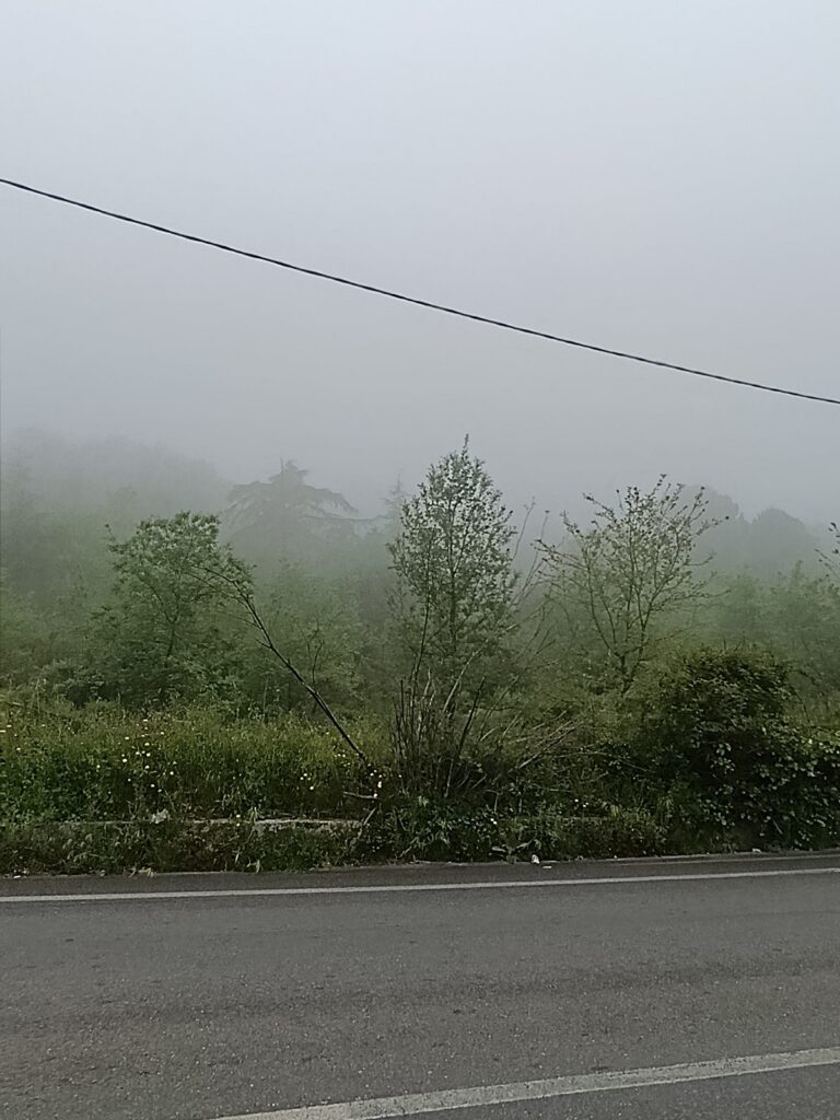 nebbia oggi paesi etnei