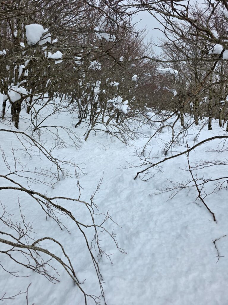 aspromonte neve 4 aprile 2026