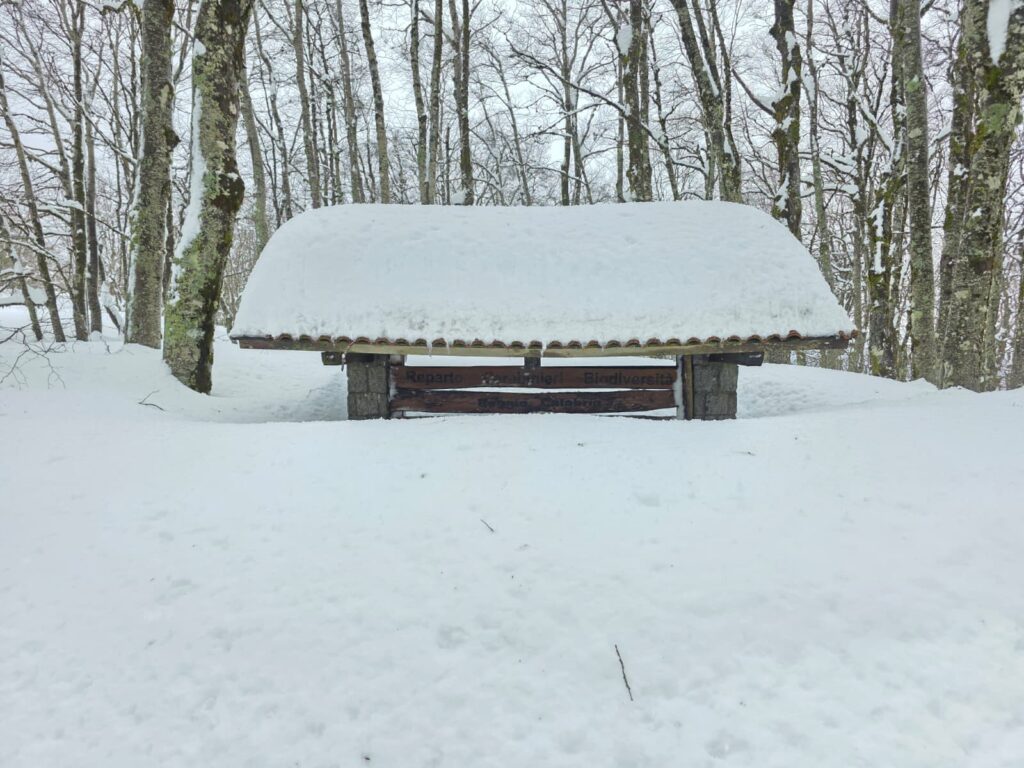 aspromonte neve 4 aprile 2026