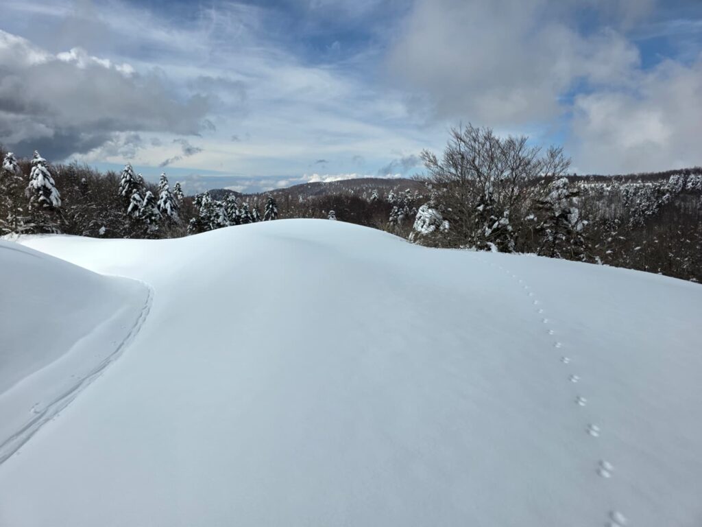 aspromonte neve 4 aprile 2026