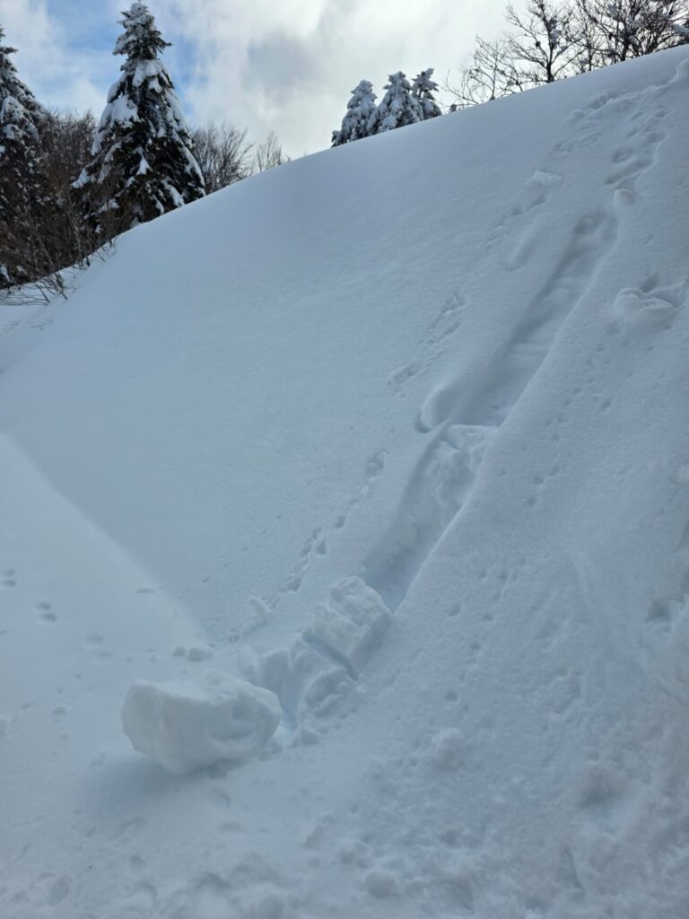 aspromonte neve 4 aprile 2026