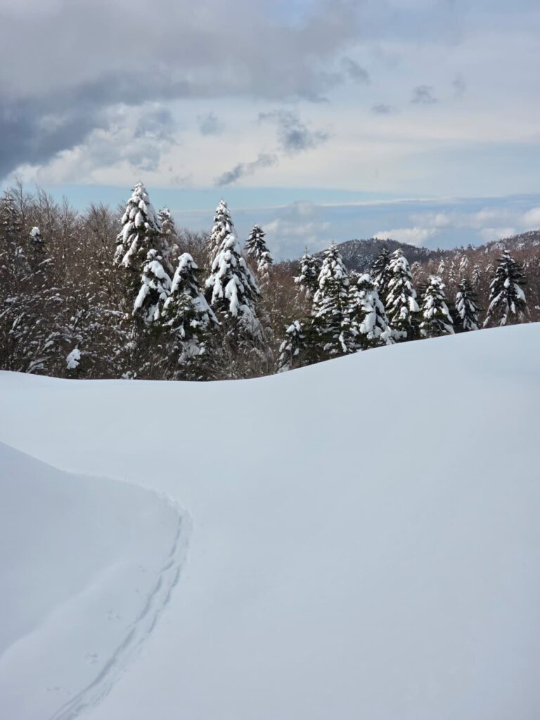 aspromonte neve 4 aprile 2026