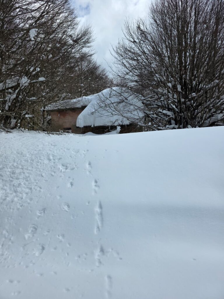 aspromonte neve 4 aprile 2026