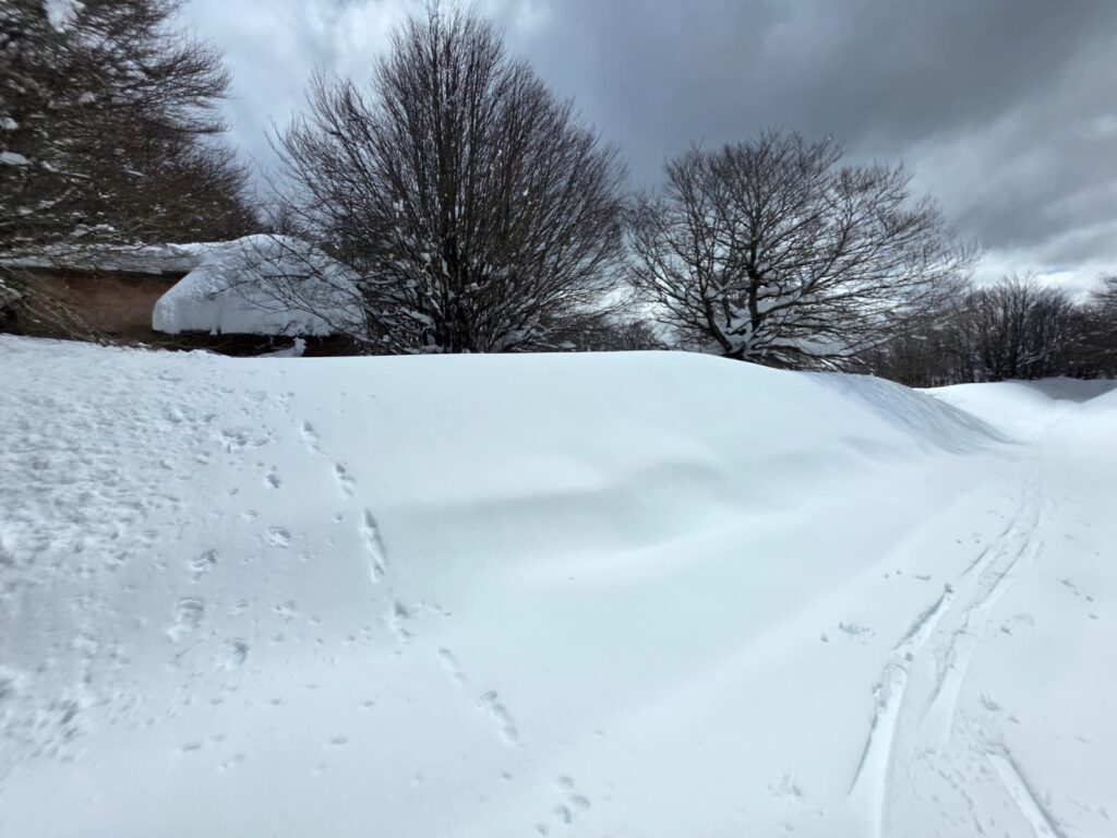 aspromonte neve 4 aprile 2026