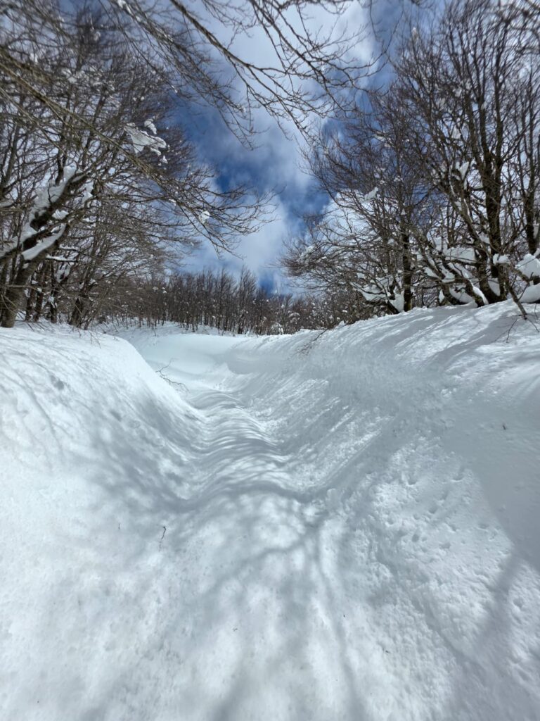 aspromonte neve 4 aprile 2026