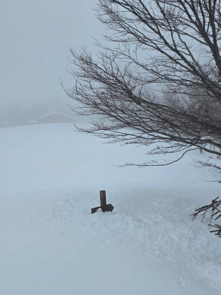 aspromonte neve 4 aprile 2026