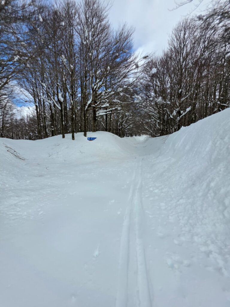 aspromonte neve 4 aprile 2026