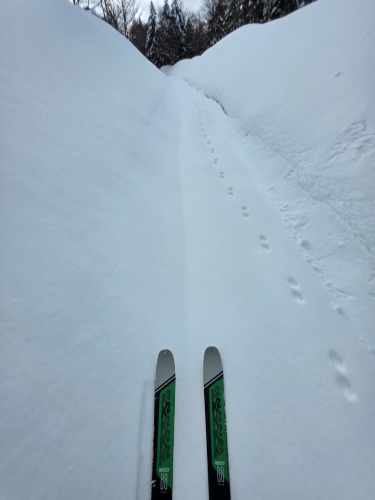 aspromonte neve 4 aprile 2026