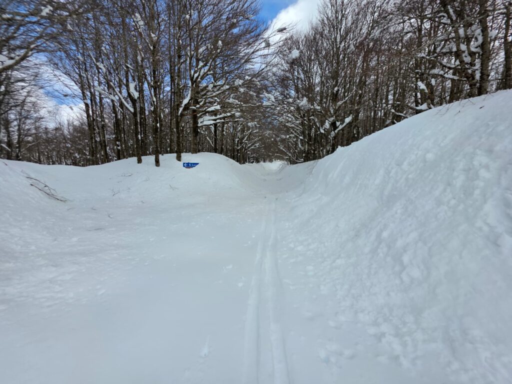 aspromonte neve 4 aprile 2026