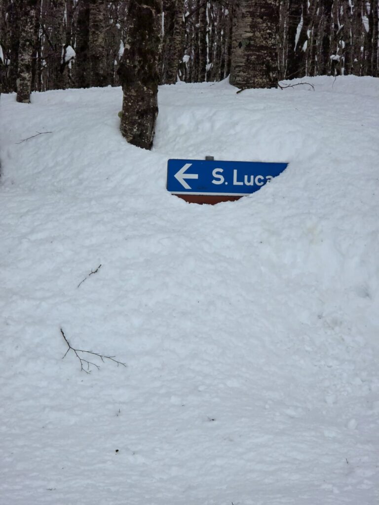 aspromonte neve 4 aprile 2026