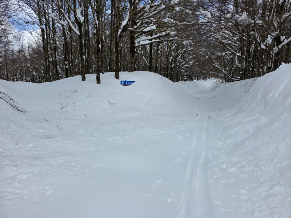 aspromonte neve 4 aprile 2026