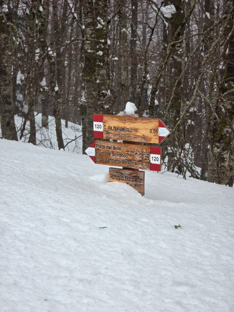 aspromonte neve 4 aprile 2026