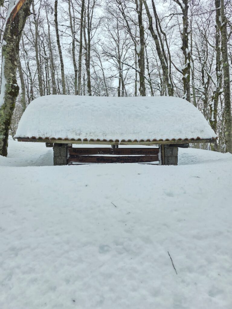 aspromonte neve 4 aprile 2026