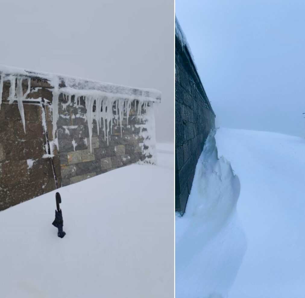 neve campania