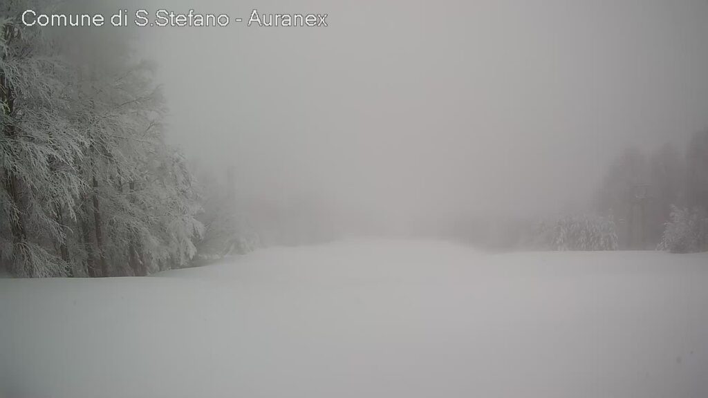 neve gambarie oggi
