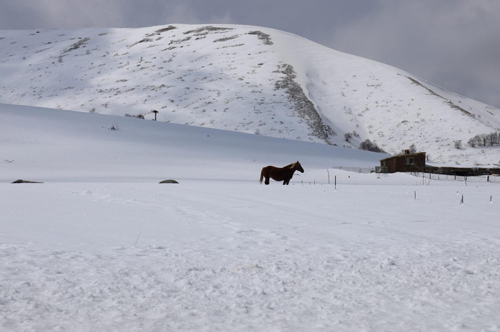 neve marche umbria