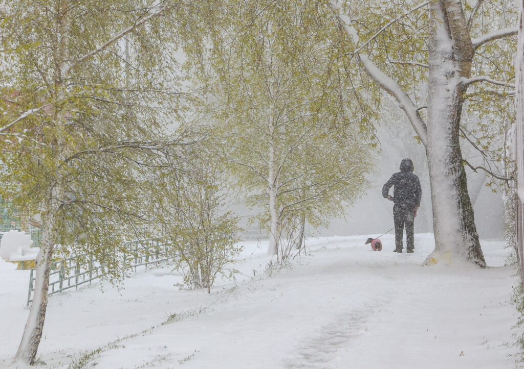 neve mosca russia