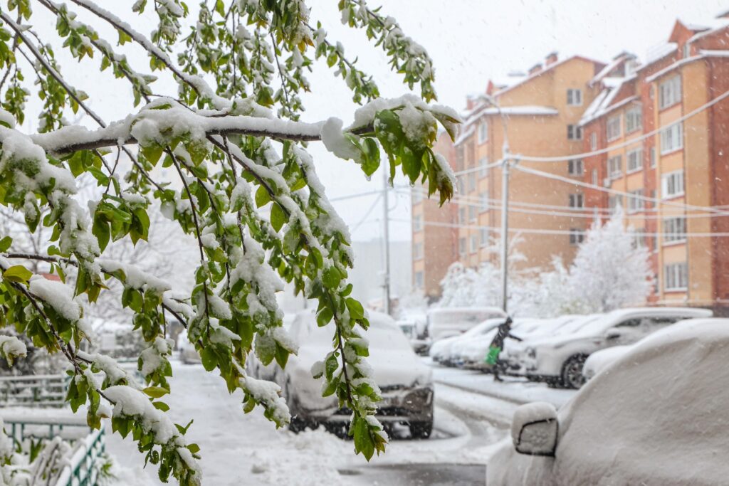 neve mosca russia