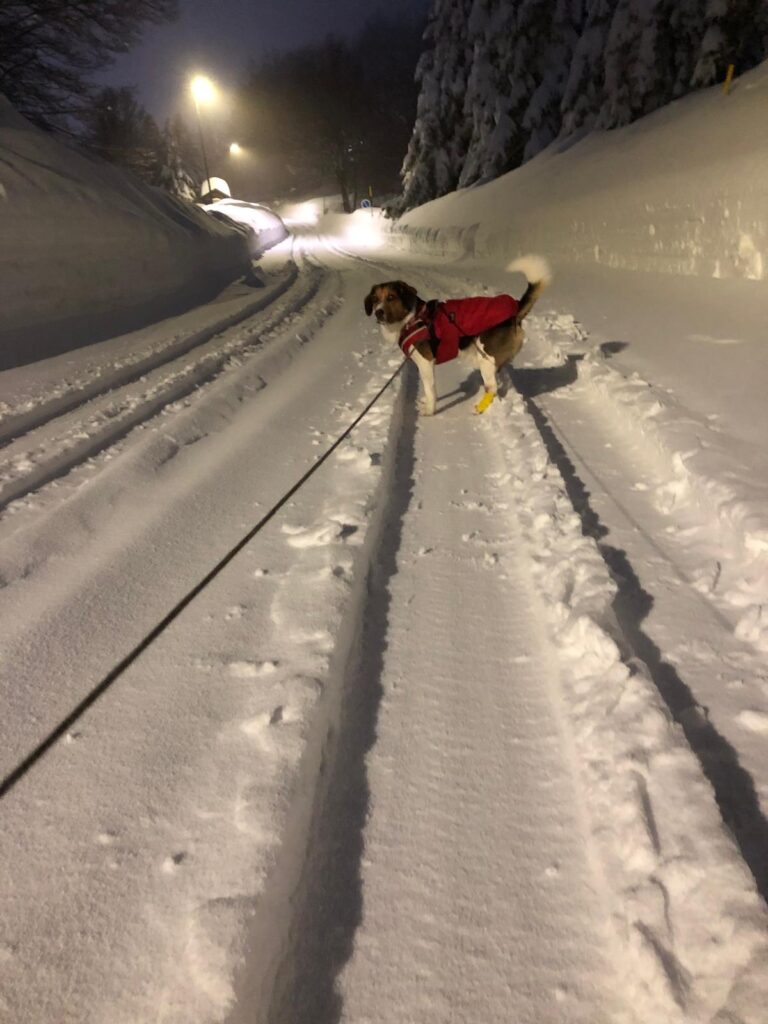 neve prati di tivo