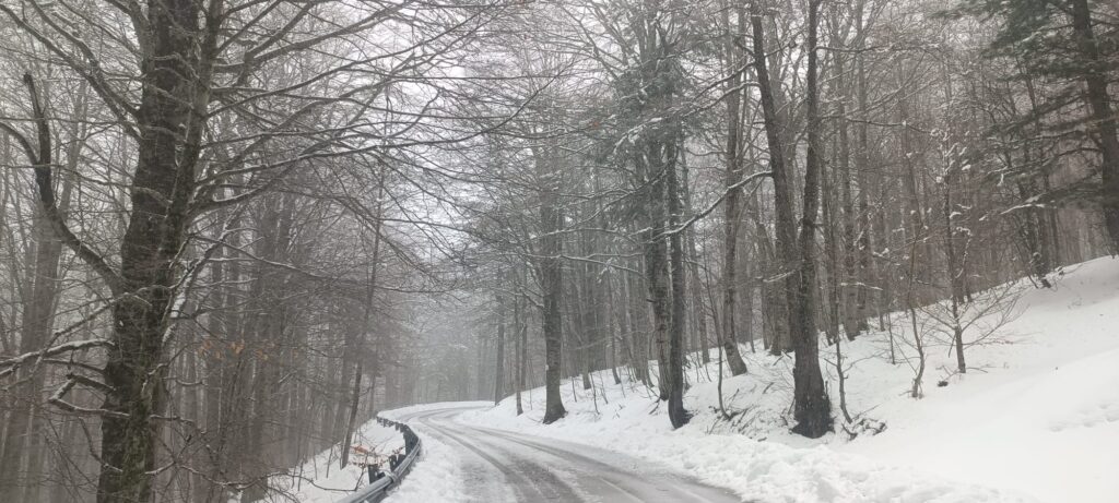neve sila