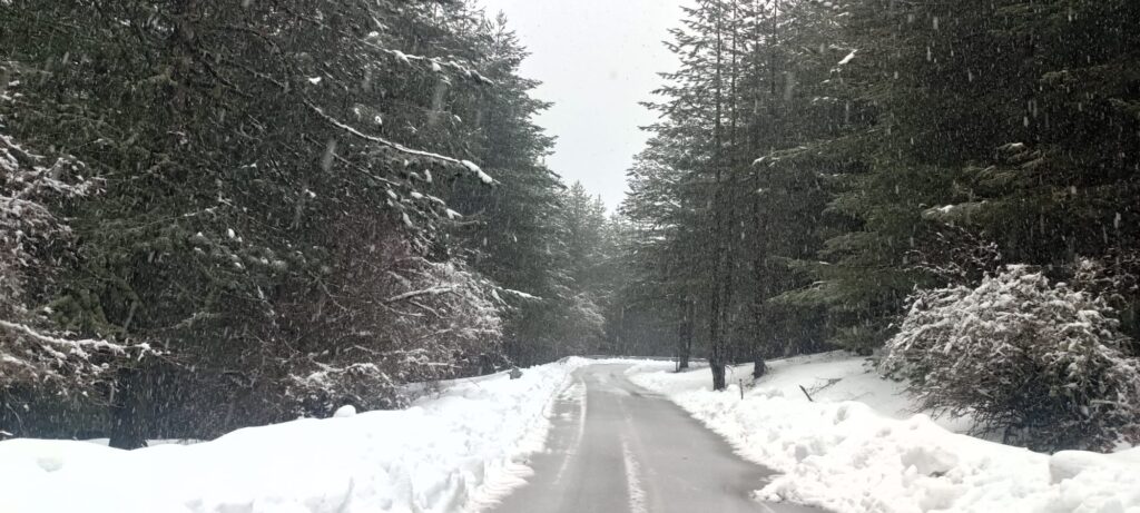 neve sila
