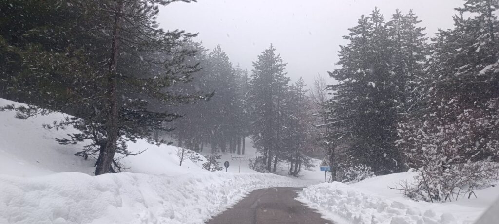 neve sila
