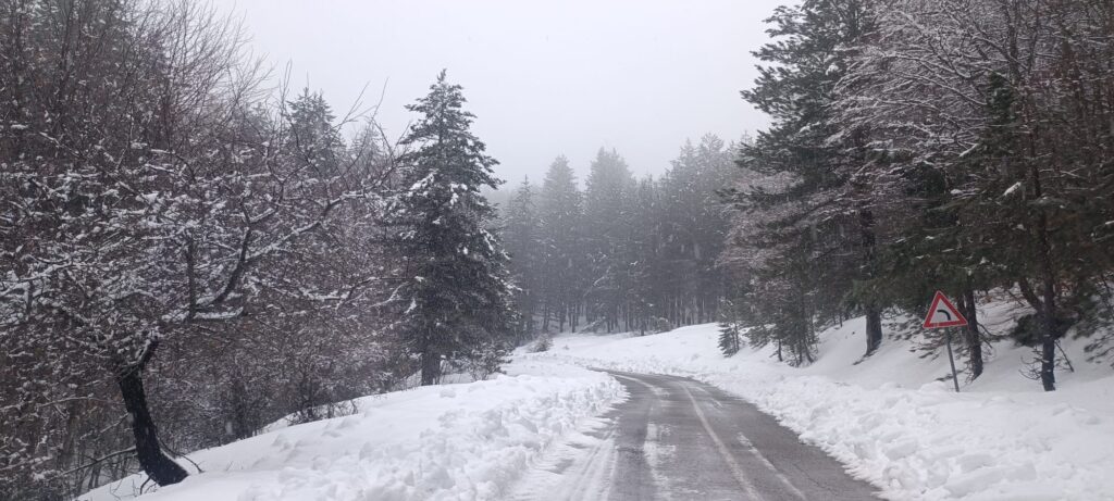 neve sila