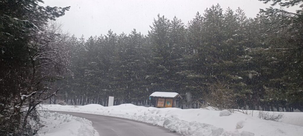 neve sila