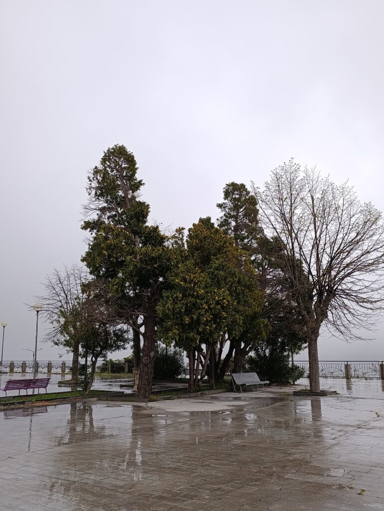 scirocco zafferana etnea