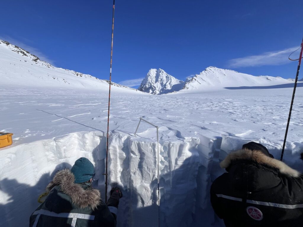 svalbard neve artico