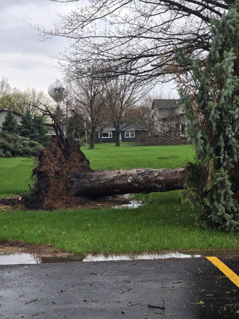 tornado usa illinois lena
