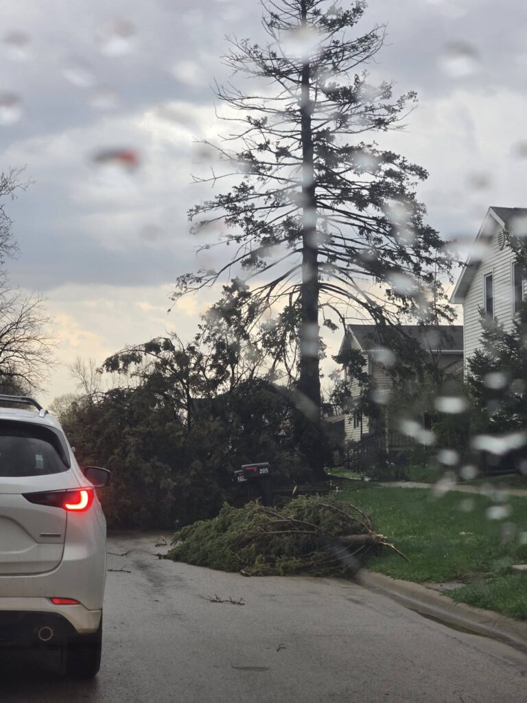 tornado usa illinois lena